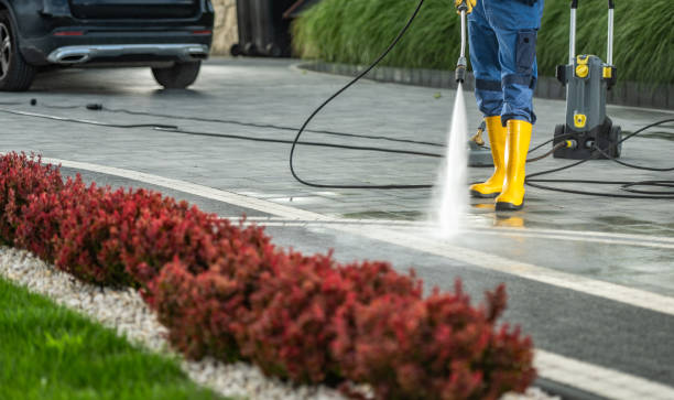 Best Gutter Cleaning  in Alpine, NJ